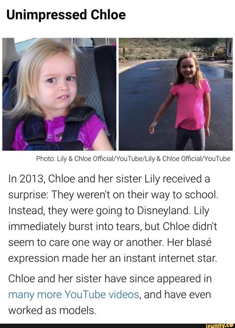 chloe youtube disney surprise|lily and chloe official YouTube.